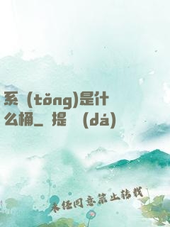 系統(tǒng)是什么桶