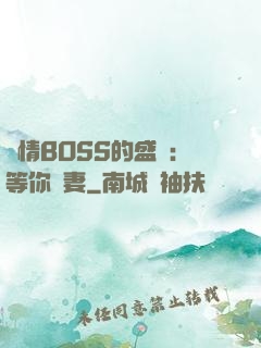 純情BOSS的盛愛：等你為妻
