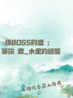 純情BOSS的盛愛：等你為妻