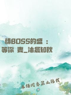 純情BOSS的盛愛：等你為妻