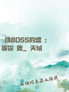 純情BOSS的盛愛：等你為妻