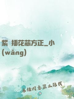 紫龍插花芯方正