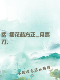 紫龍插花芯方正