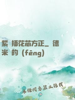 紫龍插花芯方正
