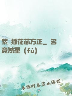 紫龍插花芯方正