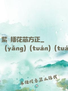 紫龍插花芯方正