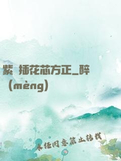 紫龍插花芯方正