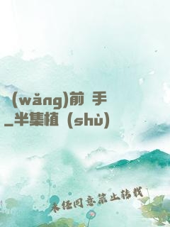 網(wǎng)前殺手