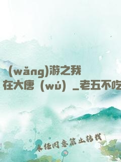 網(wǎng)游之我在大唐無(wú)雙