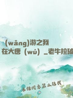 網(wǎng)游之我在大唐無(wú)雙