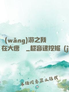 網(wǎng)游之我在大唐無雙