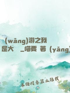 網(wǎng)游之我是大團長