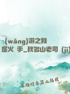 網(wǎng)游之我是火槍手