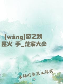 網(wǎng)游之我是火槍手