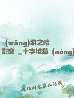 網(wǎng)游之暗影突襲