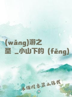 網(wǎng)游之無敵圣騎