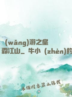 網(wǎng)游之皇霸江山
