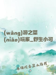 網(wǎng)游之菜鳥(niǎo)玩家