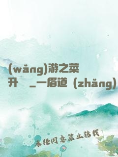 網(wǎng)游之菜鳥升職記