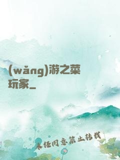網(wǎng)游之菜鳥玩家