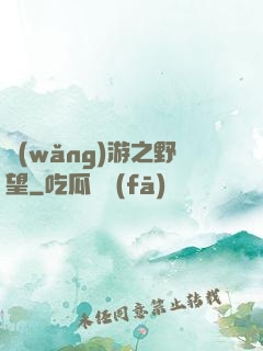 網(wǎng)游之野望