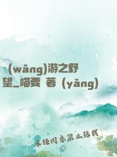 網(wǎng)游之野望