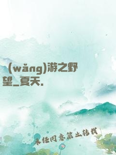 網(wǎng)游之野望