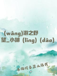 網(wǎng)游之野望