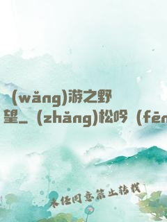 網(wǎng)游之野望
