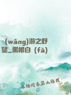 網(wǎng)游之野望