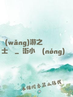 網(wǎng)游之騎士無雙