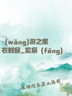 網(wǎng)游之黑衣刺客