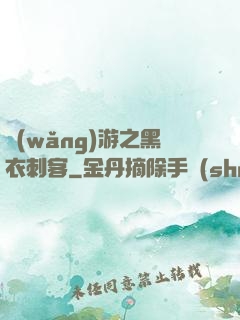 網(wǎng)游之黑衣刺客