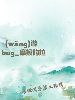 網(wǎng)游專屬bug