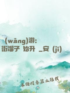 網(wǎng)游：從街溜子開始升級