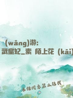 網(wǎng)游：靈武皇妃