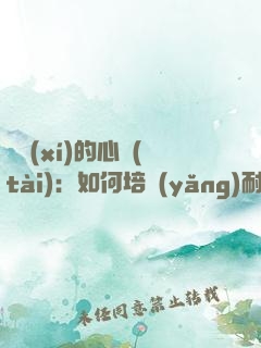 練習(xí)的心態(tài)：如何培養(yǎng)耐心、專注和自律
