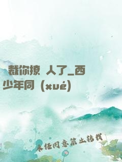 總裁你撩錯人了