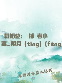 總裁奶爸：緝捕記者小妻