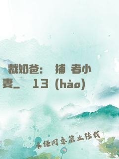 總裁奶爸：緝捕記者小妻