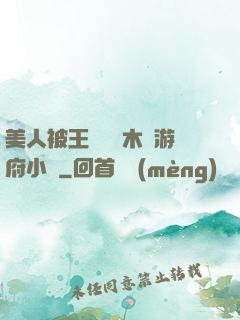 美人被王爺罰騎木驢游府小說