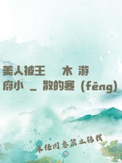 美人被王爺罰騎木驢游府小說