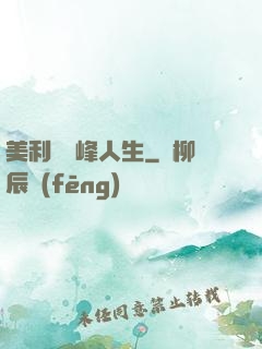 美利堅巔峰人生