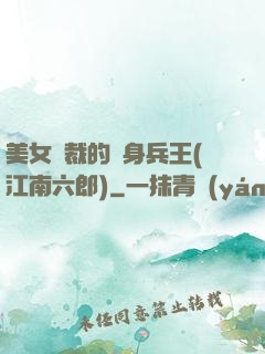 美女總裁的貼身兵王(江南六郎)