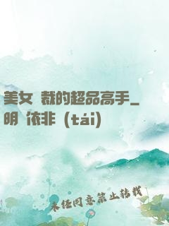 美女總裁的超品高手