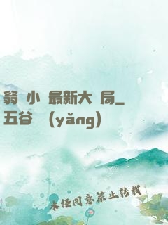 翁與小瑩最新大結局