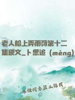 老人船上弄雨荷第十二集原文