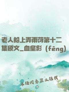 老人船上弄雨荷第十二集原文