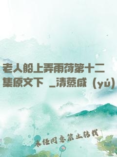 老人船上弄雨荷第十二集原文下載
