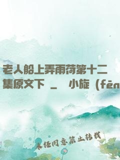 老人船上弄雨荷第十二集原文下載